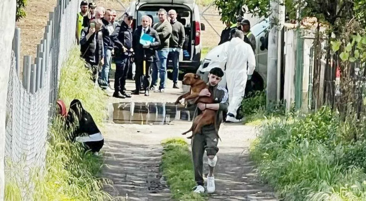 Francesco Pio D'Amaro, chi era il bimbo di 15 mesi sbranato da due pitbull: «I cani lo hanno attaccato all'imp