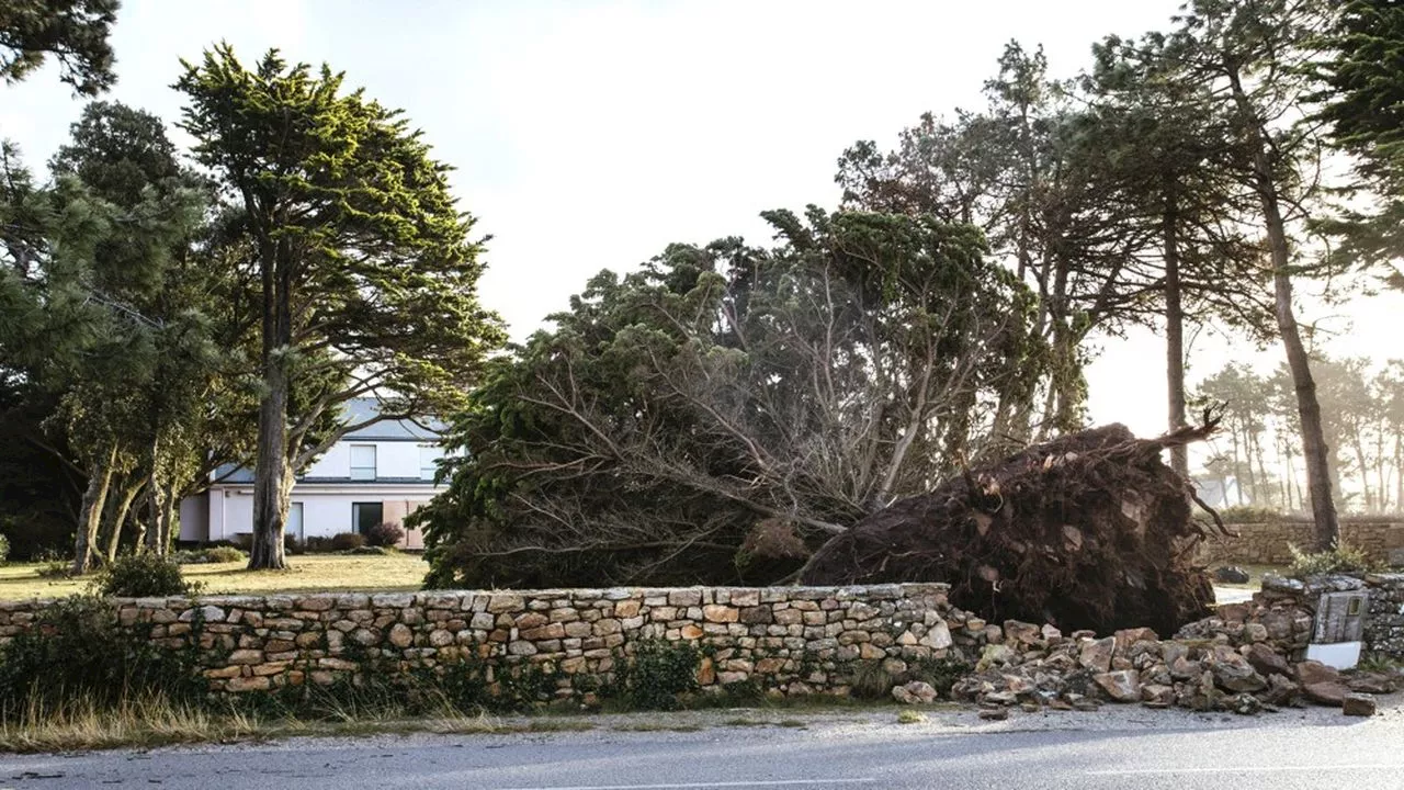 L'assureur du Crédit Mutuel Arkéa en perte après les tempêtes Ciaran et Domingos