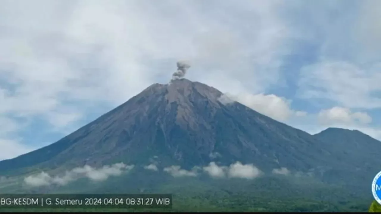 Gunung Semeru Erupsi Lagi hingga Tiga Kali, Ketinggian Letusan Capai 600 Meter