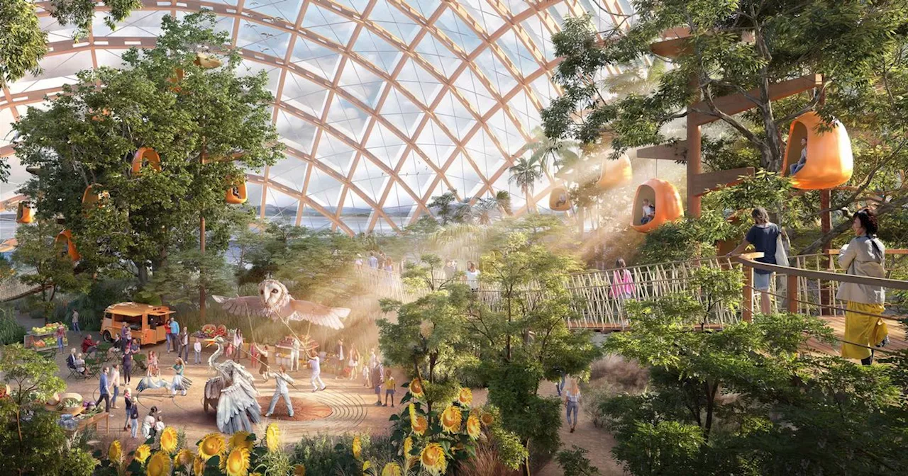 'For Eden Project Morecambe to be successful, it needs better public transport'