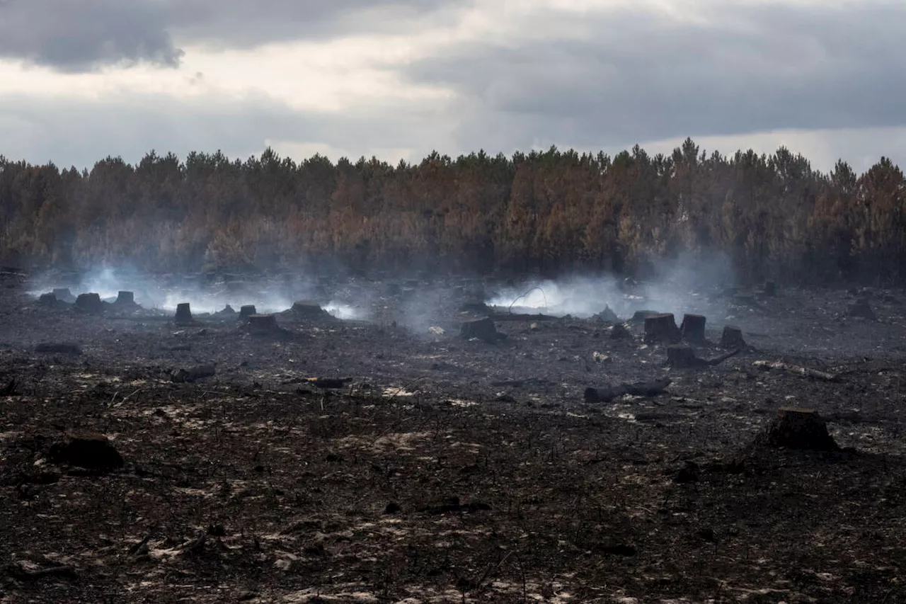 En Gironde, après l’incendie : « Je ne sais pas si j’arriverai à oublier cette épreuve »