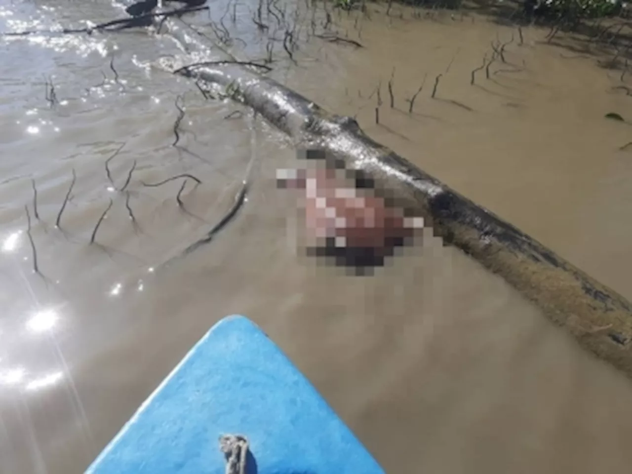 Fun day turns horrific after nine anglers find body floating in Kuala Baram river in Sarawak