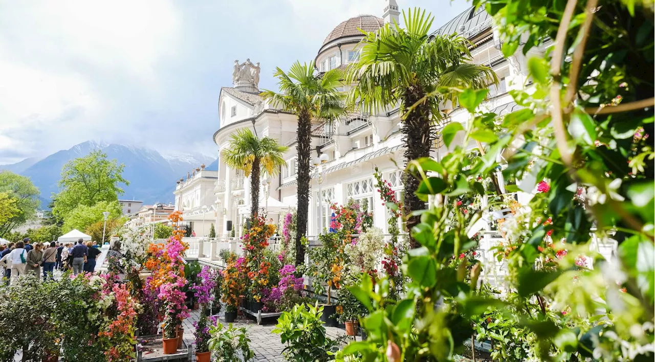 Merano Flower Festival: la primavera nei fiori dal mondo