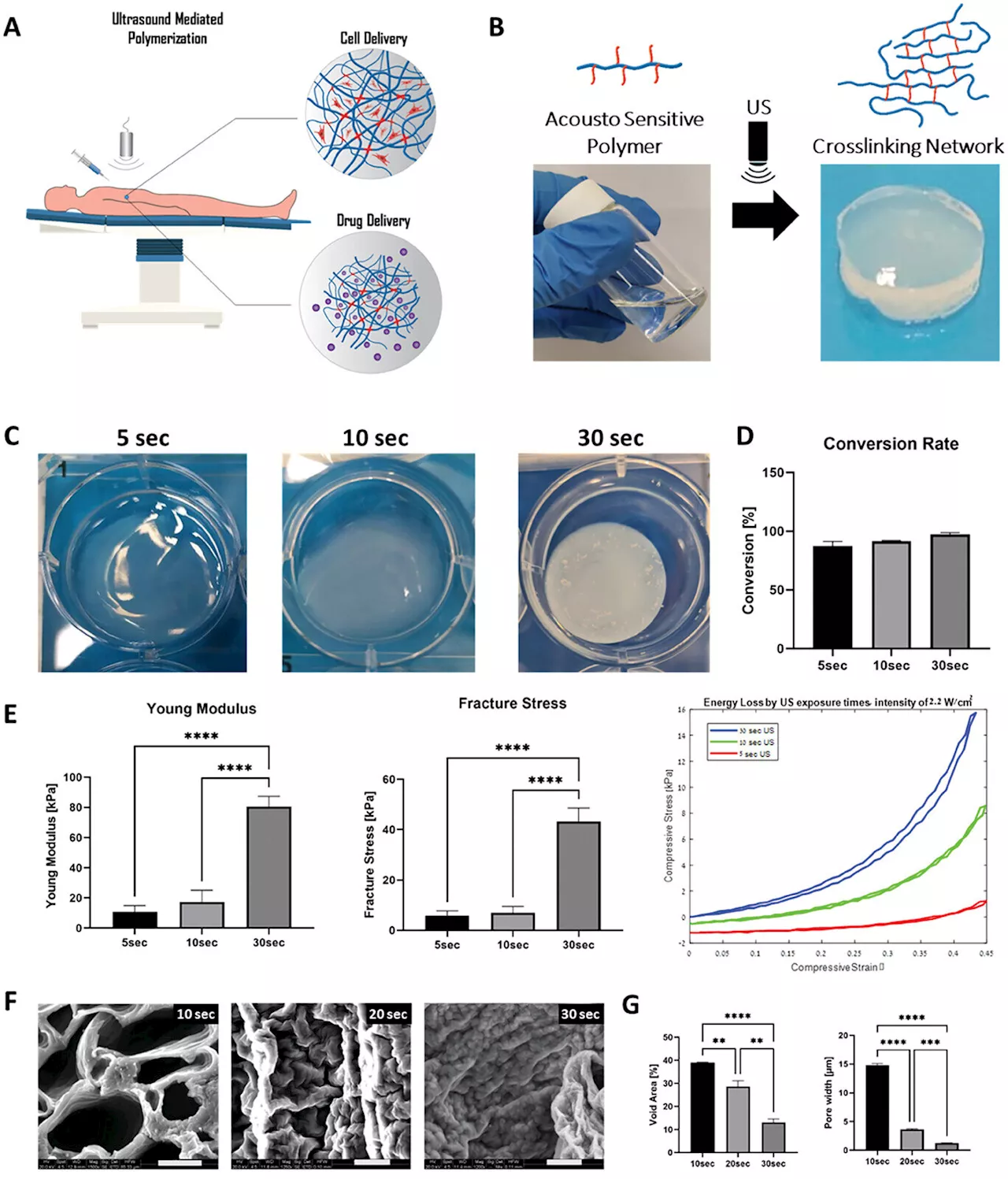 Scientists harness ultrasound for drug delivery and tissue implantation