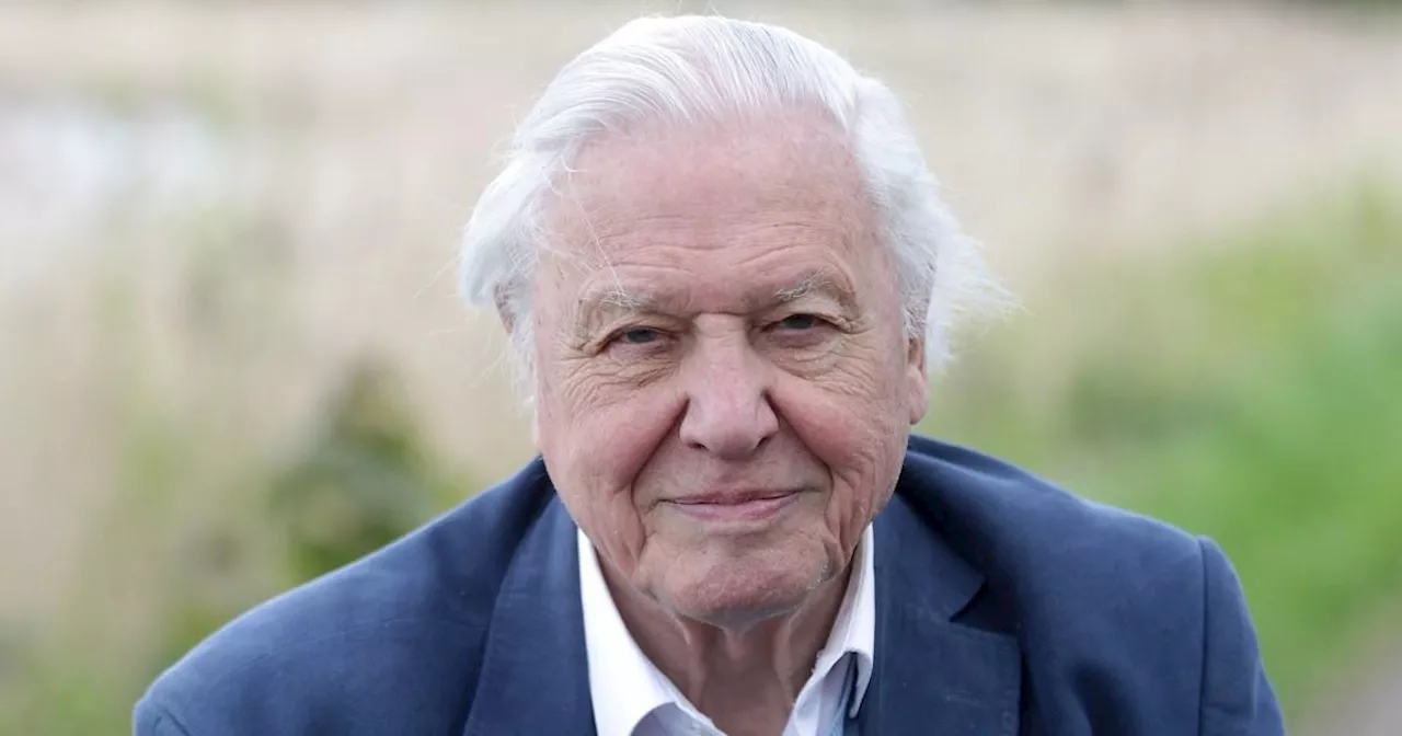 Sir David Attenborough, 97, 'replaced' on BBC's Planet Earth III