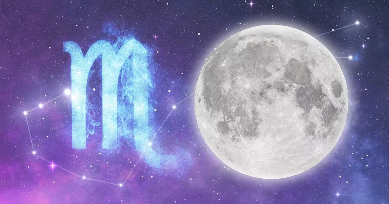 Full Moon in Scorpio April 2024: Your star sign's tarot horoscope