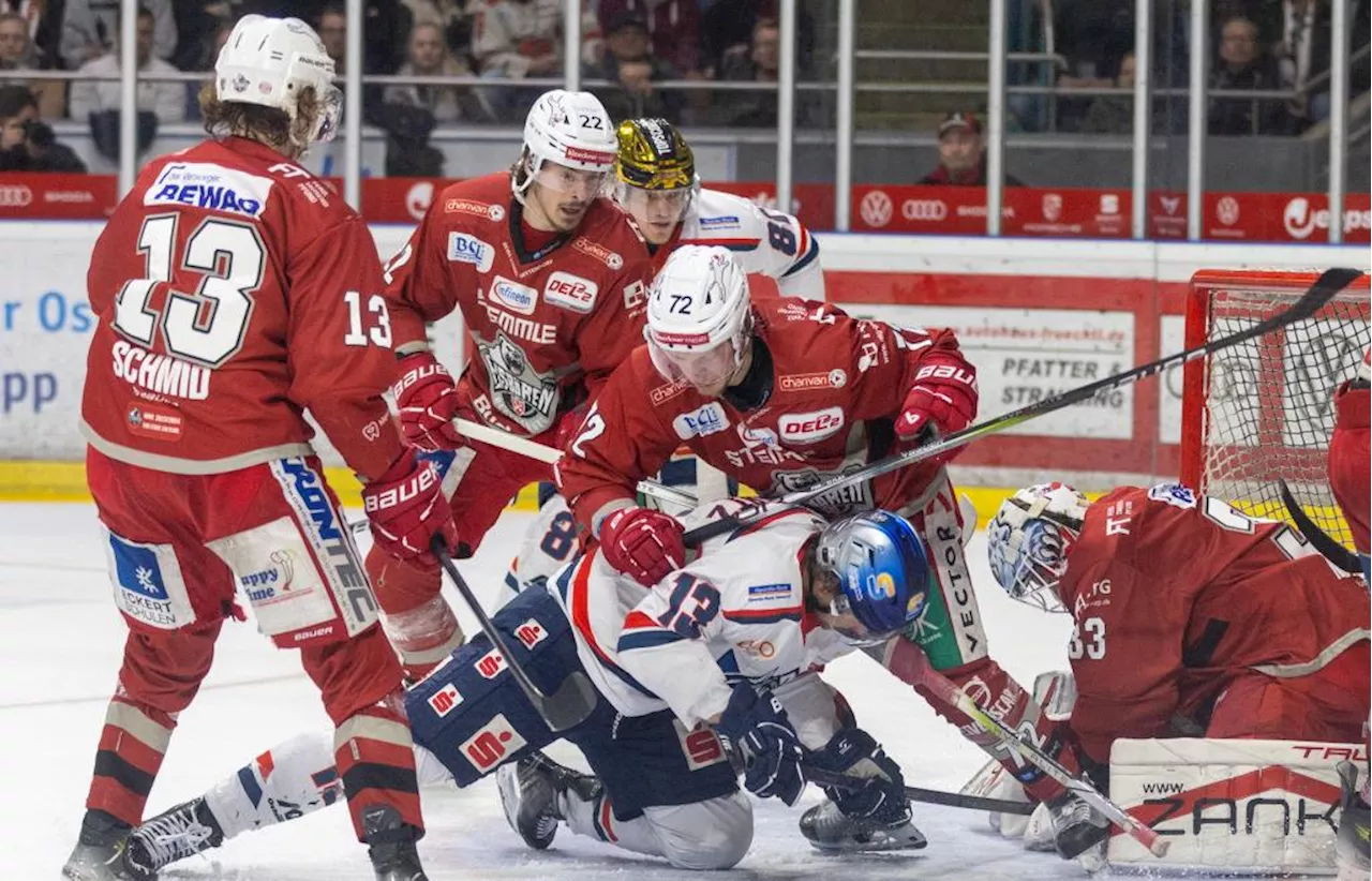 Die Regensburger Eisbären können sich jetzt zuhause krönen – in Kassel liegen die Nerven blank