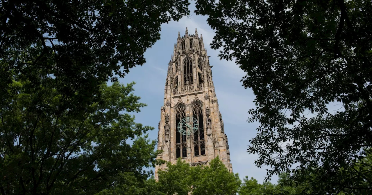 Police arrest pro-Palestine supporters at encampment on Yale University plaza