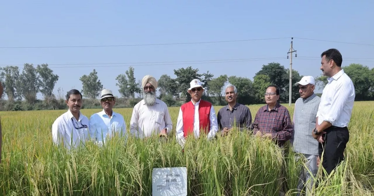 किसान ने परंपरागत खेती छोड़ अपनाया ये आइडिया, करोड़ों का टर्नओवर, हरियाणा, पंजाब, यूपी के किसानों के भी मदद...