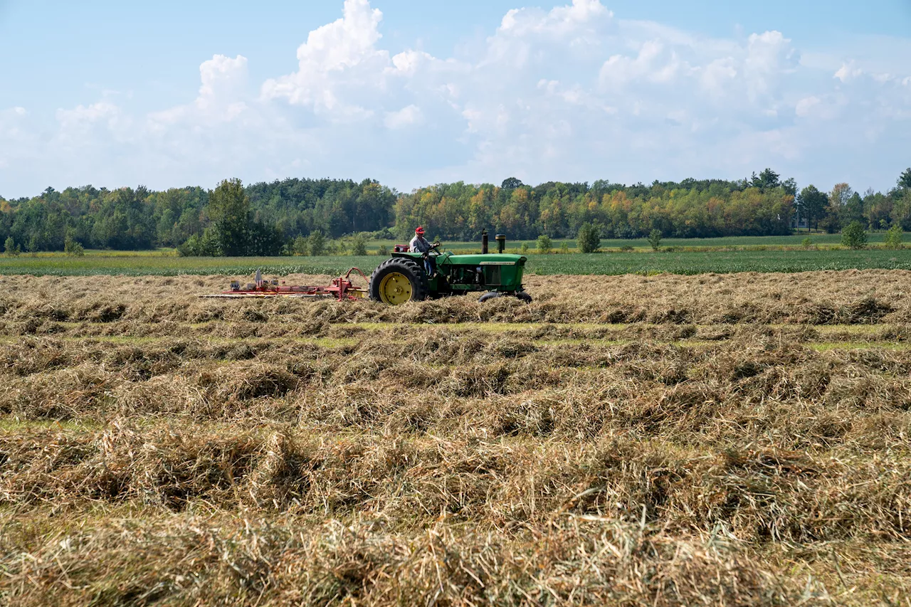 In the Fight Against Climate Change, Don't Forget Rural America