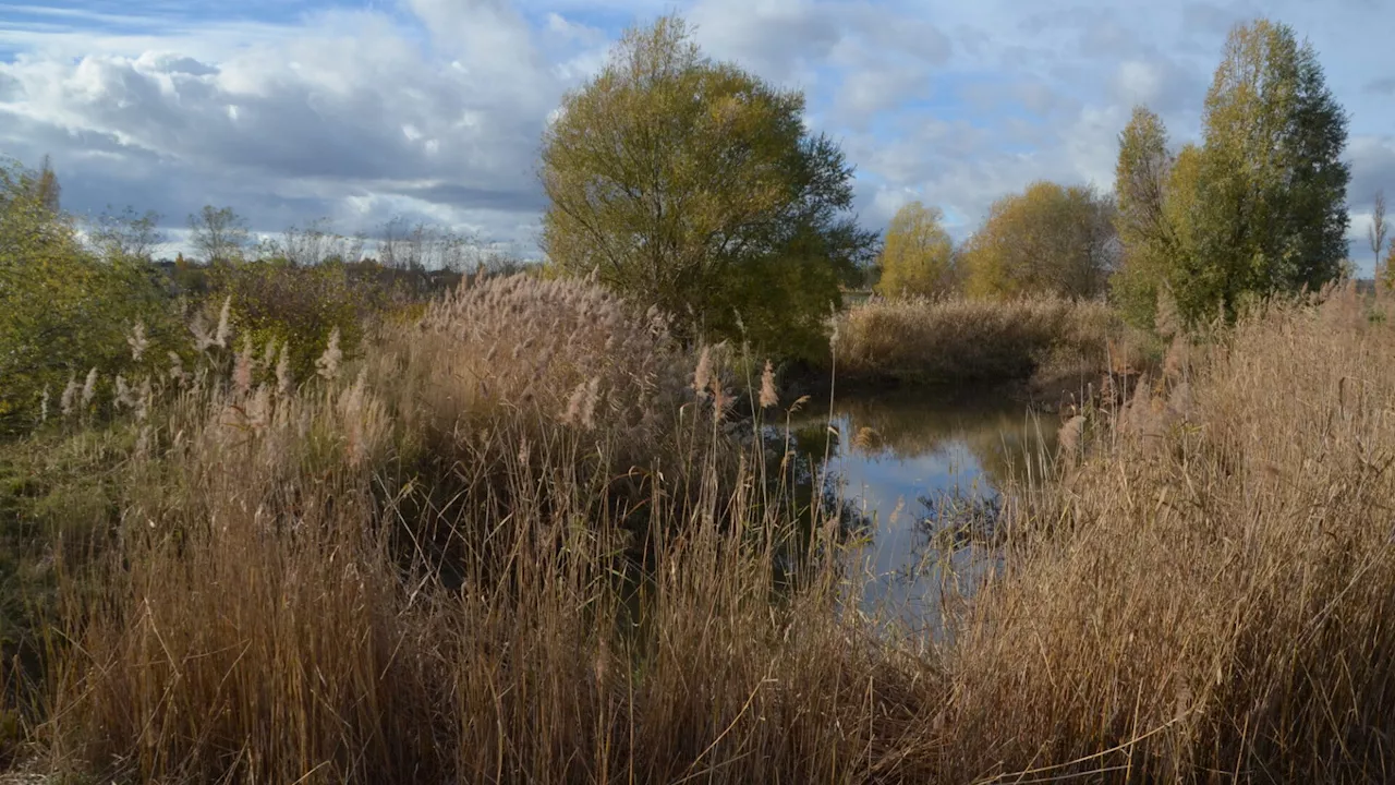 Eine Exkursion dorthin, wo „das Wasser verschwindet“