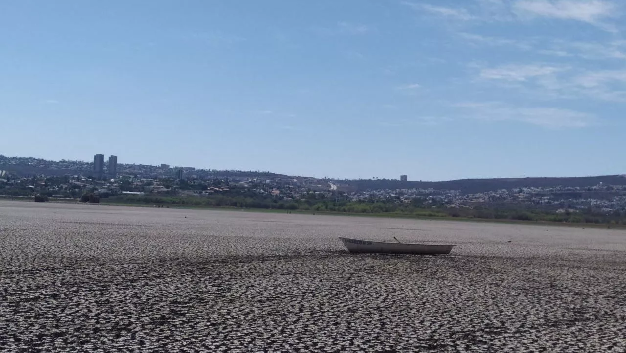 Pierde Presa del Palote en León hasta 100 mil peces por la sequía