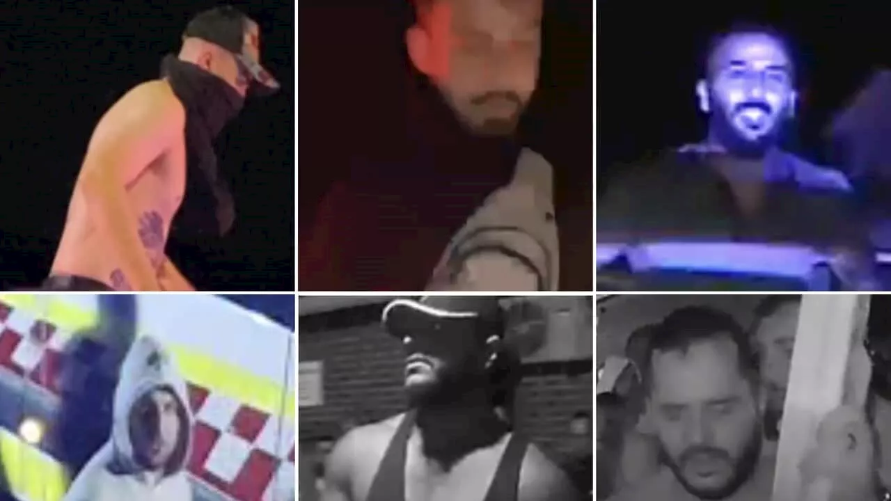 Cross-carrying alleged rioter helping Wakeley investigation after police release 12 photos