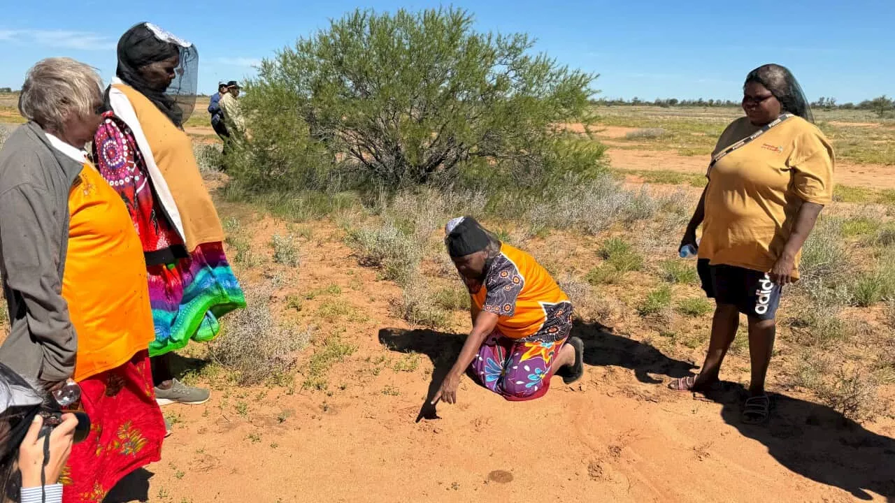 Old ways aided by new technology for Indigenous rangers in the Tanami desert