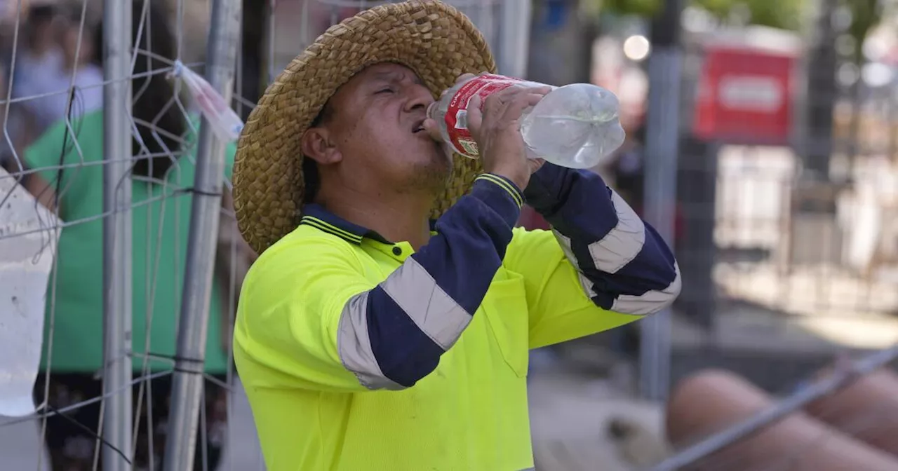 Agencia ONU alerta de los efectos del calor excesivo y el cambio climático en los trabajadores