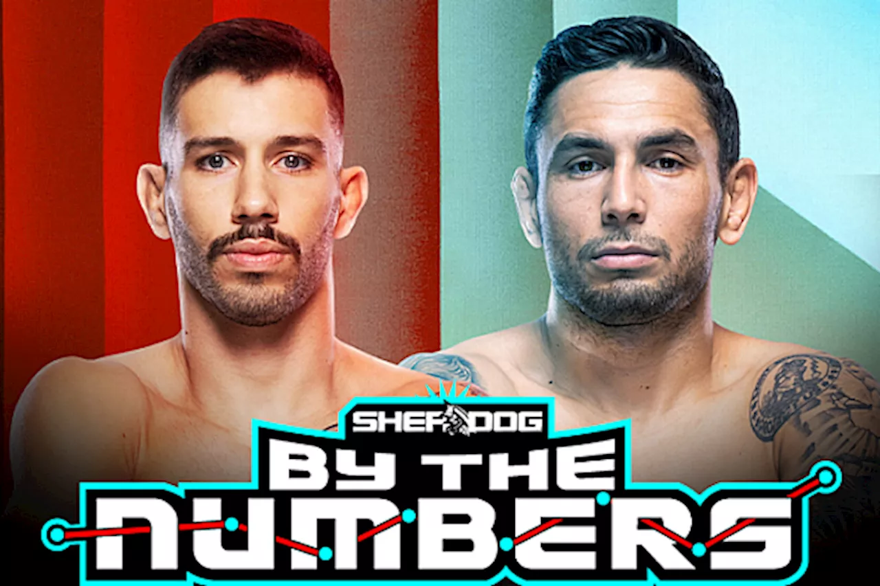 By The Numbers: Matheus Nicolau vs. Alex Perez