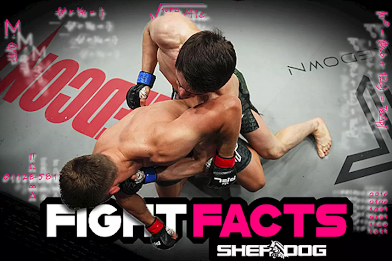 Fight Facts: PFL 2024 Regular Season 3