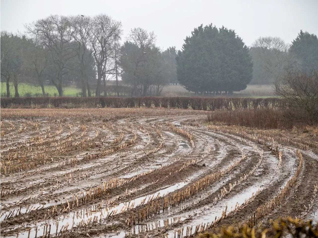 NFU plea to major retailers over farming support as rainfall continues to cause misery