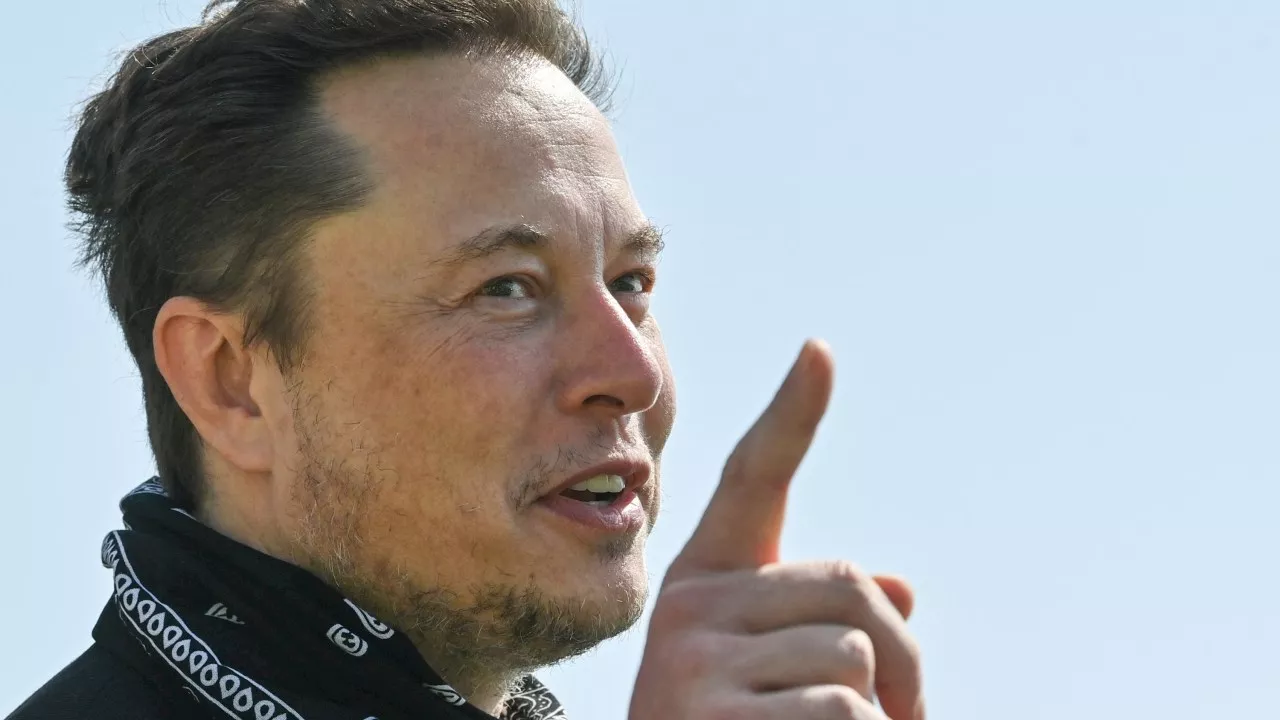 Elon Musk mocks Albanese as X censorship feud deepens