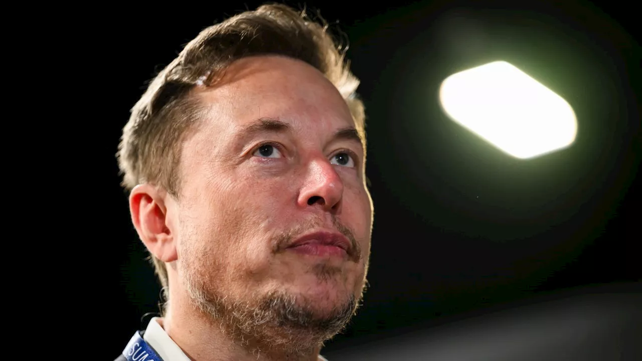 PM, Greens join chorus of attacks on ‘tech thug’ Elon Musk