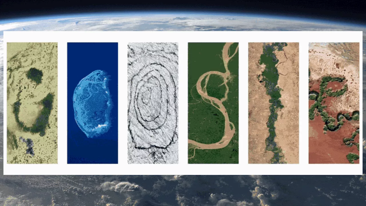 The Earth Day 2024 Google doodle is a climate change reminder