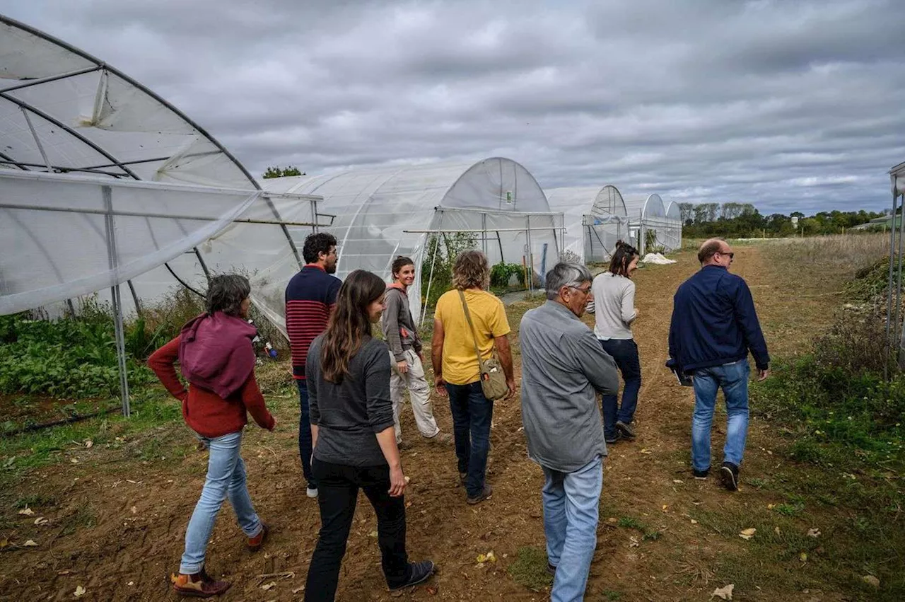 Le festival Les 48 h de l’agriculture urbaine revient en terre rochelaise