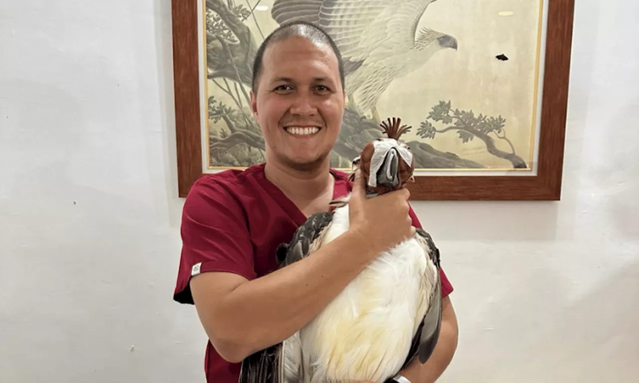 Saving PH Eagles is in Our Hands (1st of 2 parts)