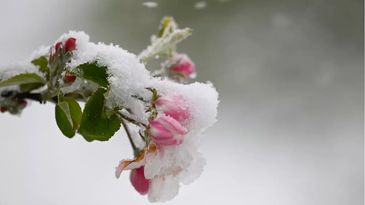 Tote und Verletzte nach Wintereinbruch: Auf den Frühling muss Deutschland noch warten