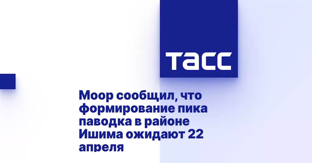 Моор сообщил, что формирование пика паводка в районе Ишима ожидают 22 апреля