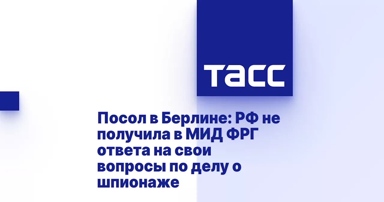 Посол в Берлине: РФ не получила в МИД ФРГ ответа на свои вопросы по делу о шпионаже