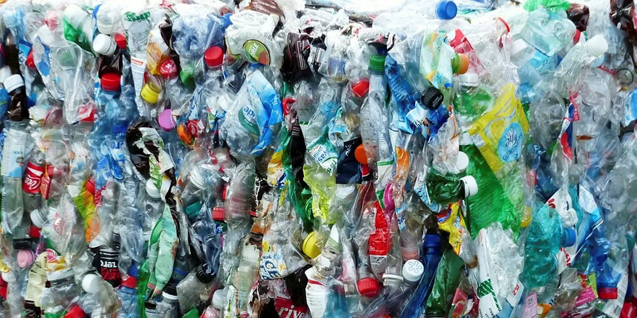 To stop plastic pollution, stop producing it