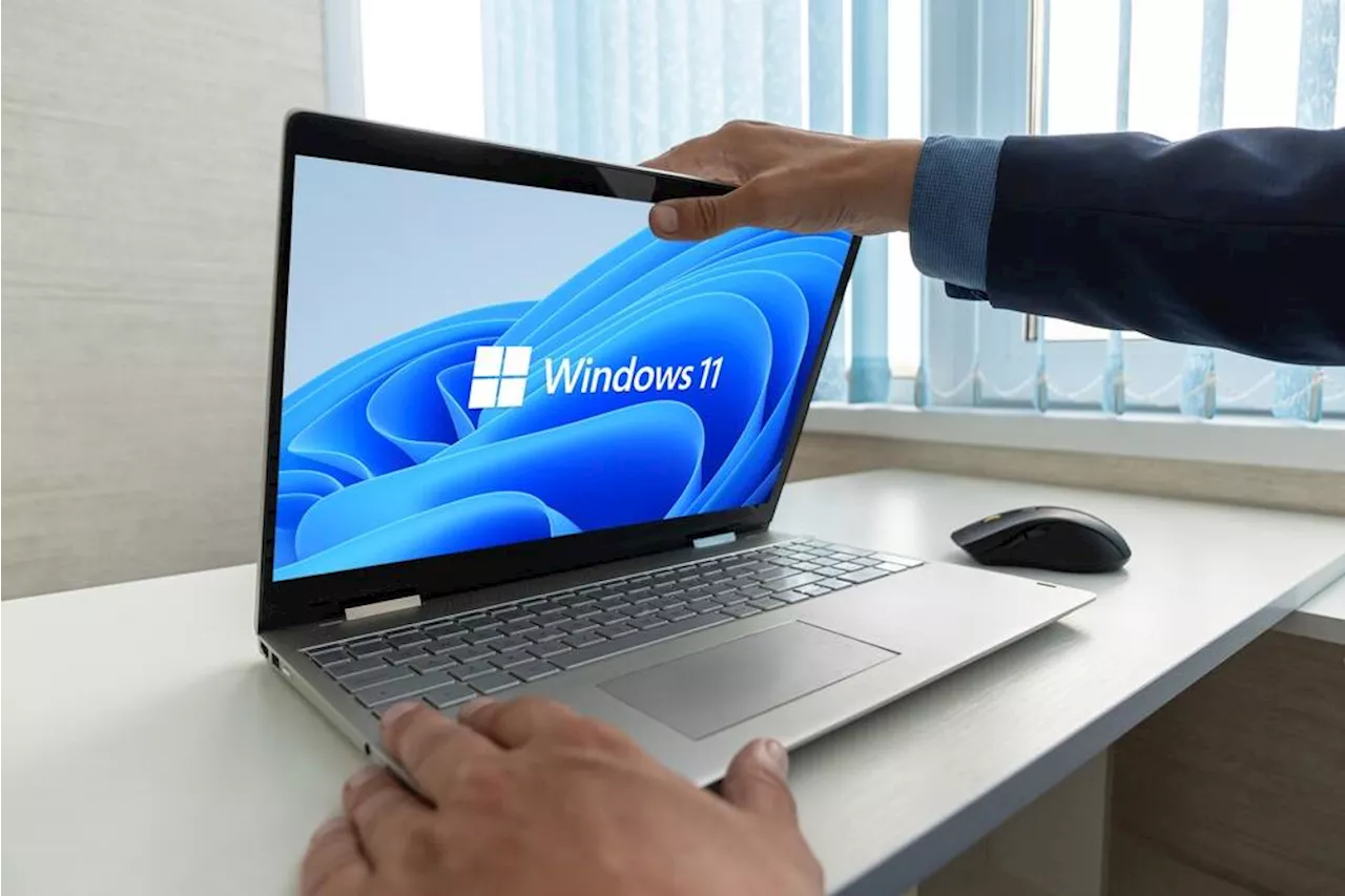 Tiny11 Builder trims Windows 11 fat with PowerShell script