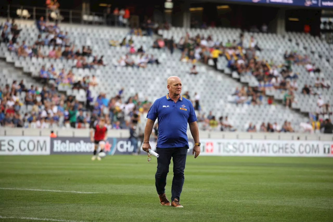 Stormers coach apologises profusely after shock loss