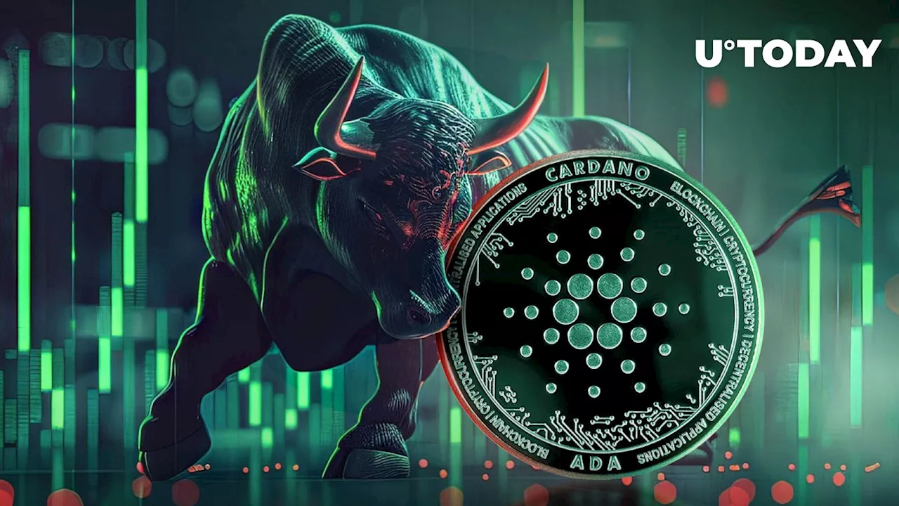 Cardano (ADA) Skyrockets 500% in Fund Flows as Bulls Take Charge