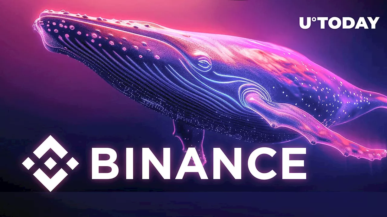 Mega Whale Withdraws $53 Million Worth of Bitcoin from Binance