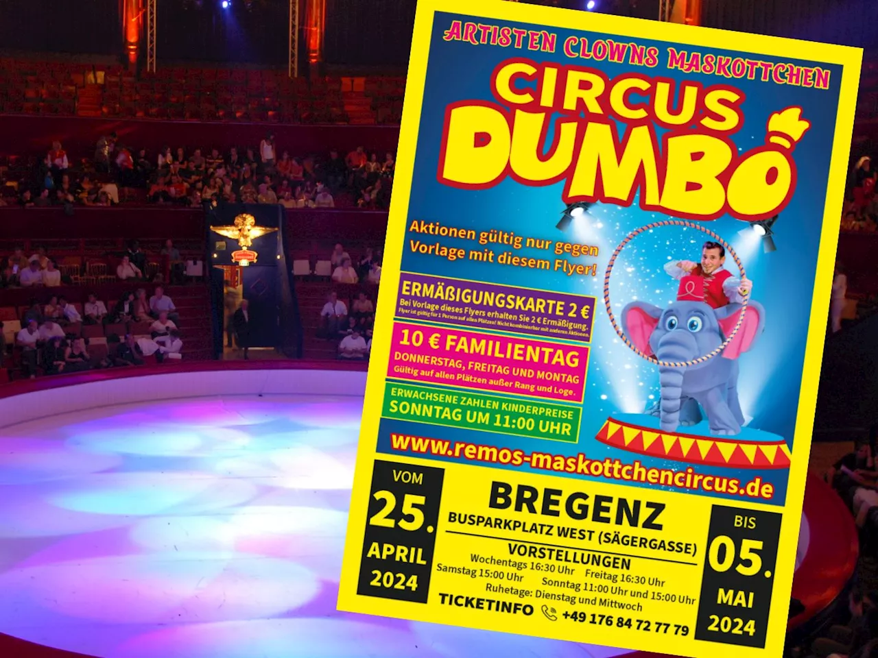 Von Trollen bis fliegenden Baby-Elefanten: Circus Dumbo kommt nach Bregenz