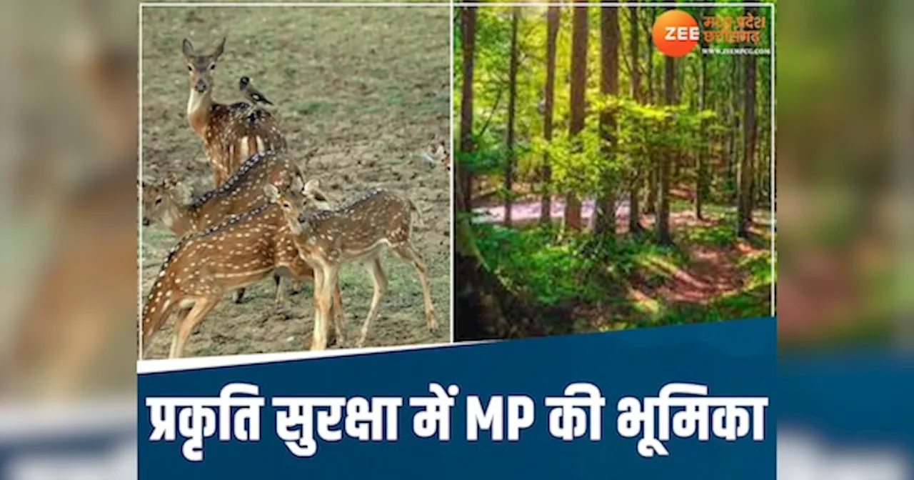 Earth day 2024: ये नेशनल पार्क बनाते हैं MP को इंडिया का खास स्टेट, देश-विदेश से घूमने आते हैं टूरिस्ट