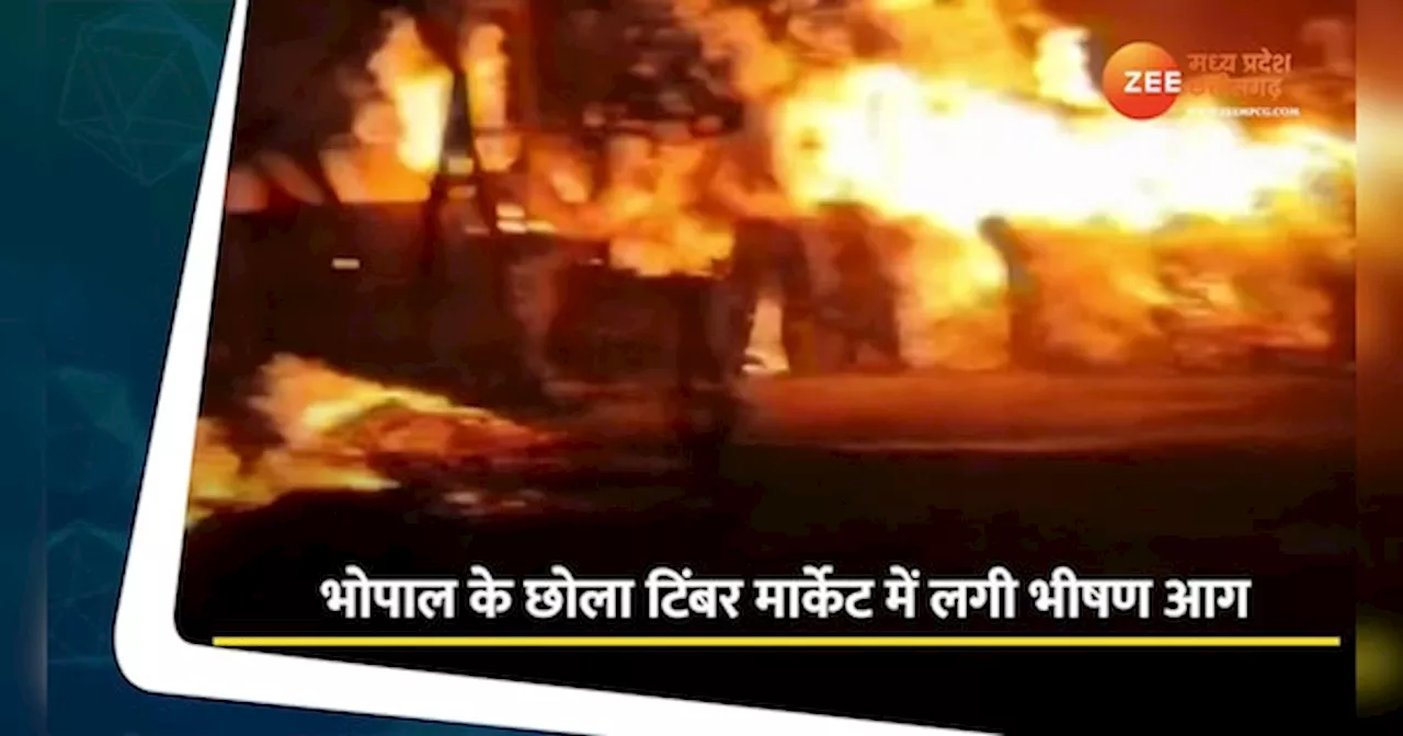 Fire Video: भोपाल के टिंबर मार्केट में लगी भीषण, मची अफरा- तफरी, देखें Video