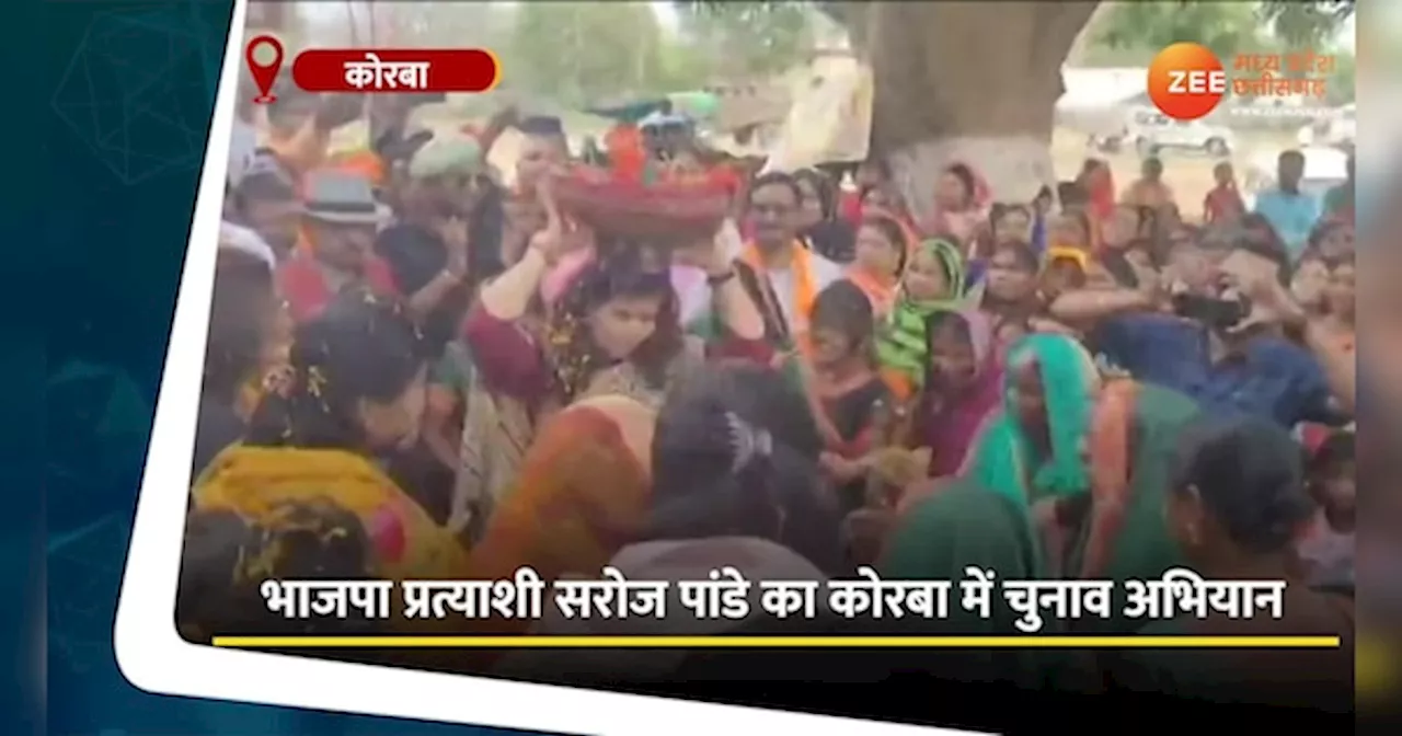 Korba Lok Sabha seat: सरोज पांडे ने खास अंदाज में दी चुनाव अभियान को दी ऊर्जा!महिलाओं के साथ किया सुआ डांस