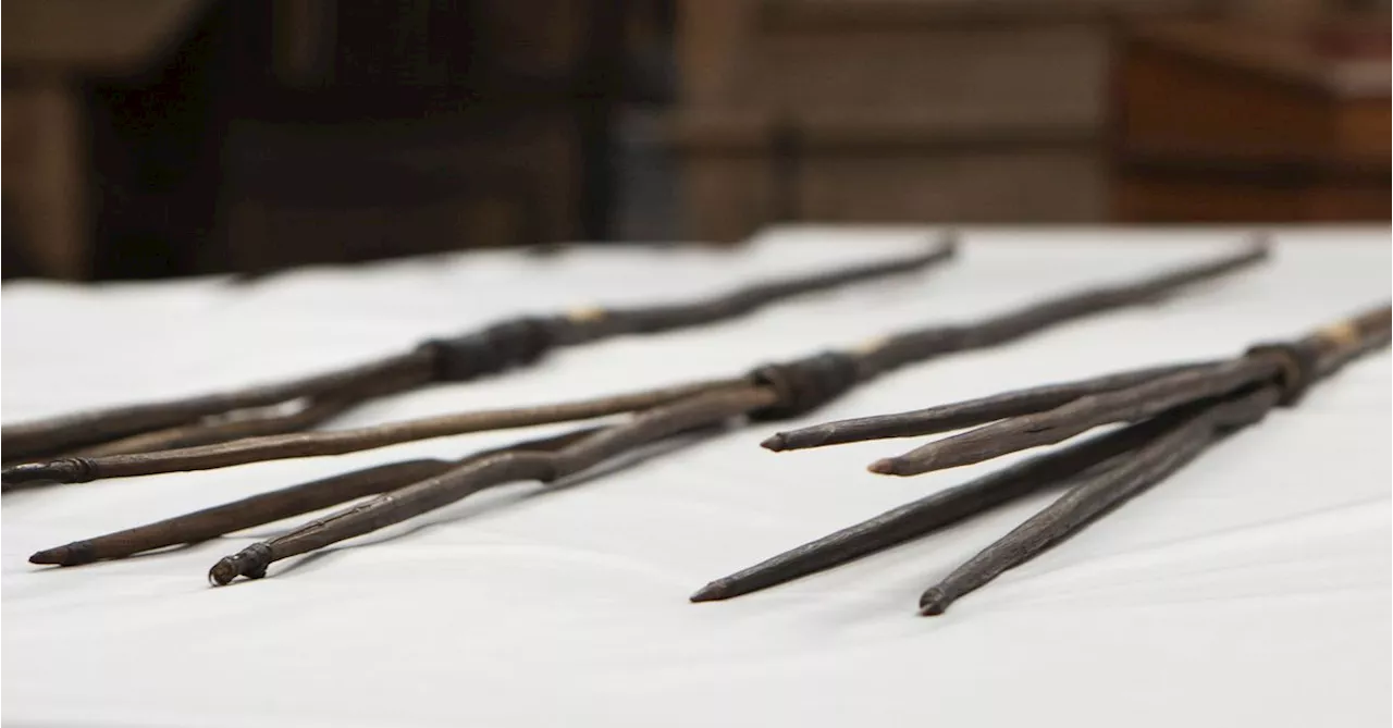 Aboriginal spears taken by Captain Cook in 1770 formally returned to Indigenous Australians