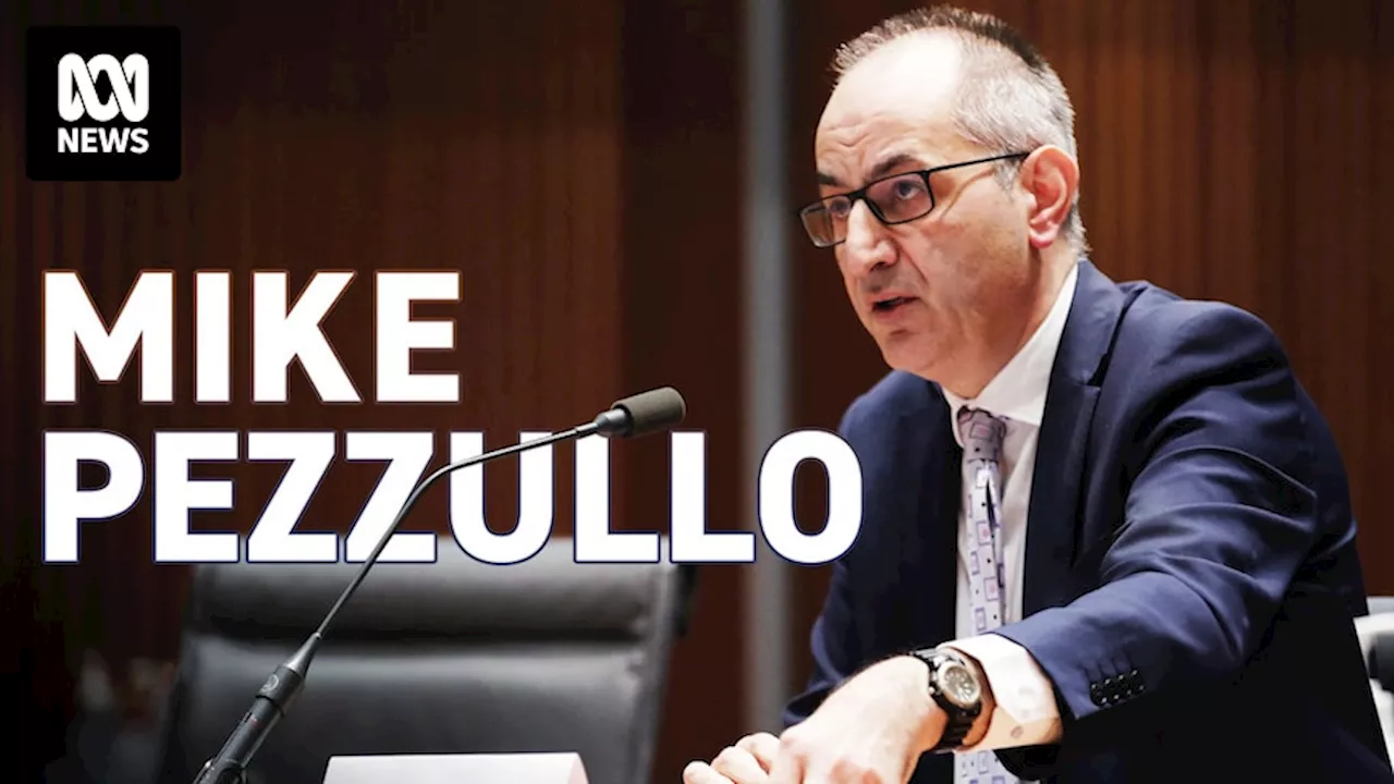 Former Home Affairs secretary Mike Pezzullo: 'Yes I made mistakes'.