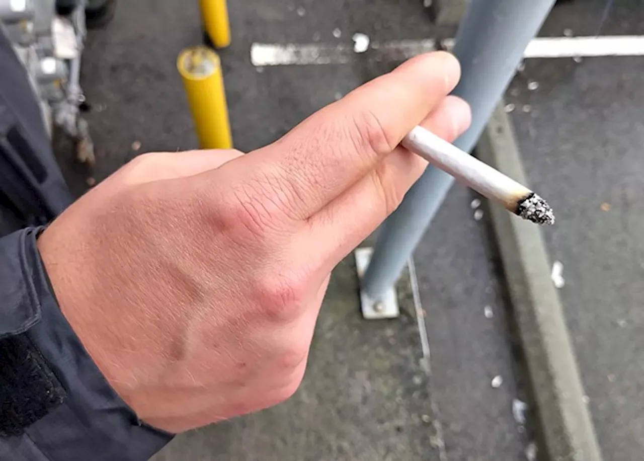 Cancel tenant's smoking fines, B.C. strata told