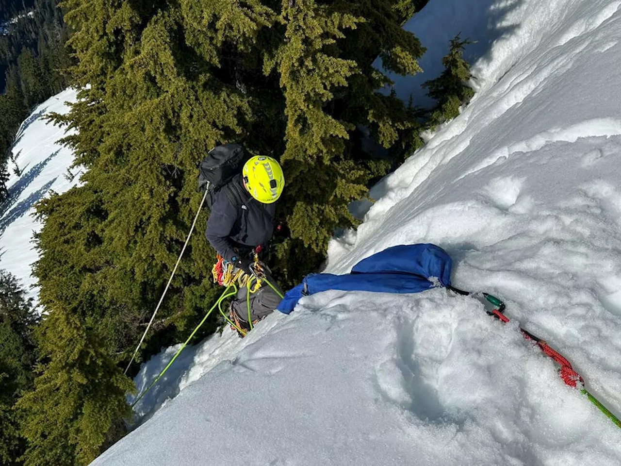 Dog likely killed in fall from West Vancouver cliff, North Shore Rescue says