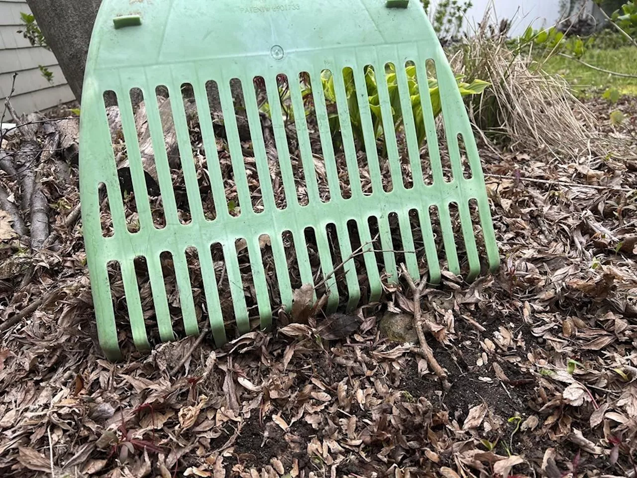 The problem with leaf blowers, and what you can do instead