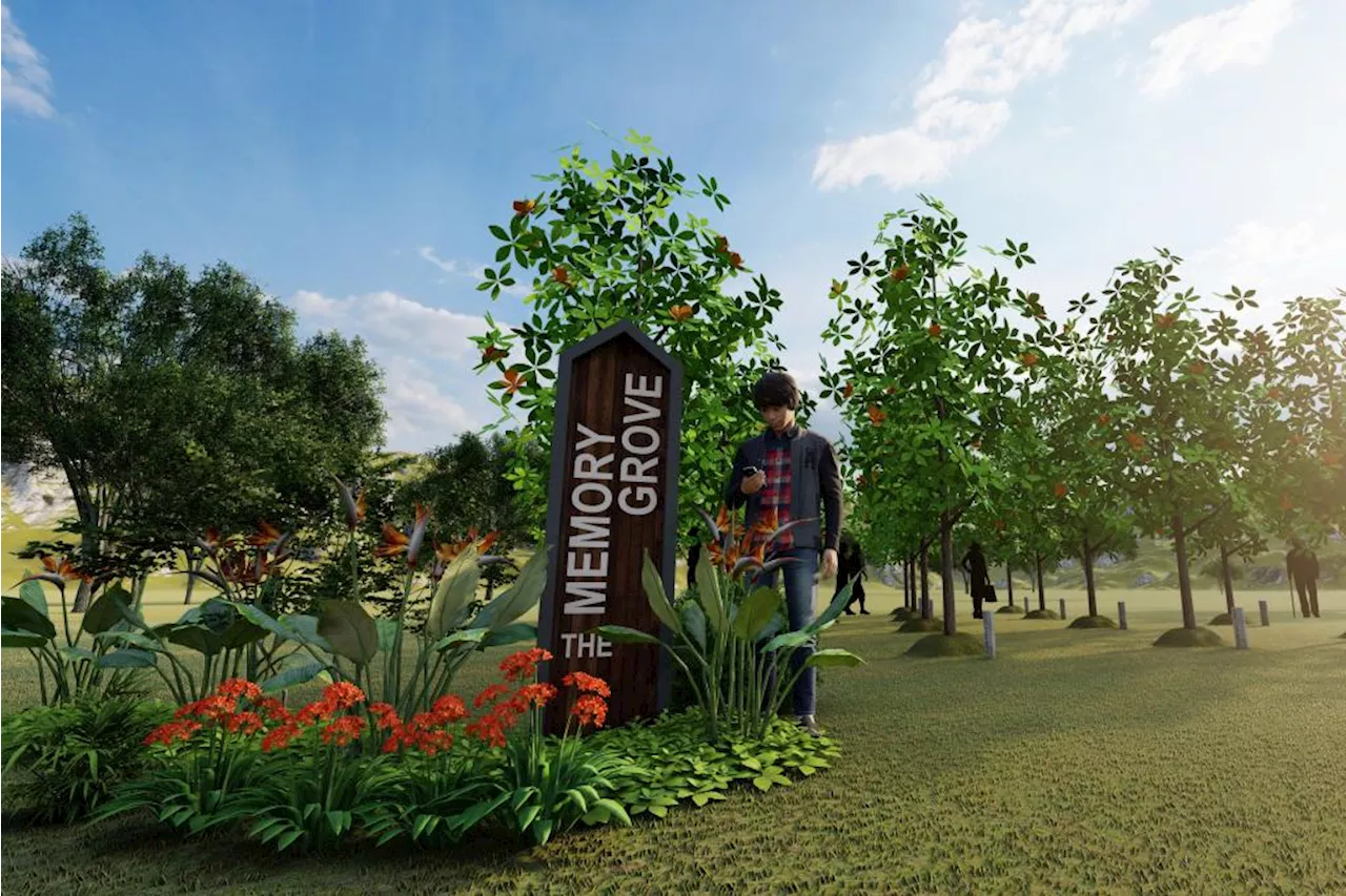 Golden Haven unveils innovative memorialization option: The Memory Tree