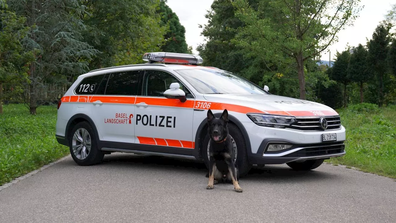 Basel: Festnahme nach Raubüberfall in der Webergasse ++ Autofahrer bei Selbstunfall verletzt