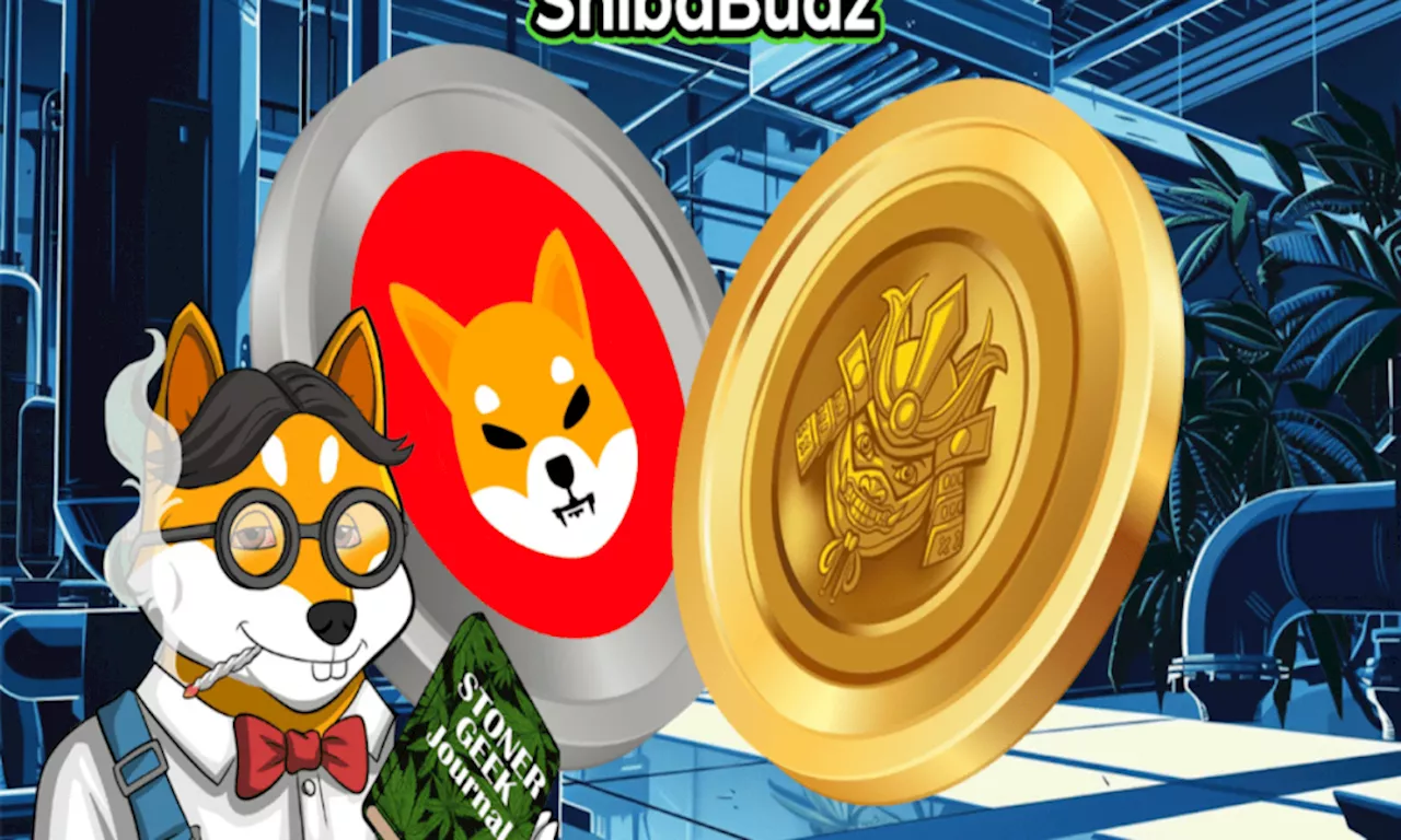 SHIB Mania with Shiba Inu & Shiba Budz, how to turn $250 to $2,500 in SHIB?