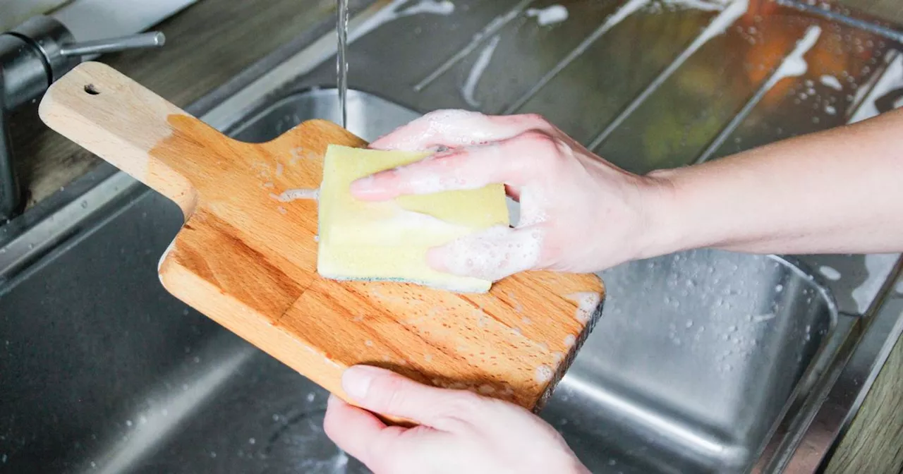 Cleaning fan issues warning to anyone who uses a dish sponge to scrub plates