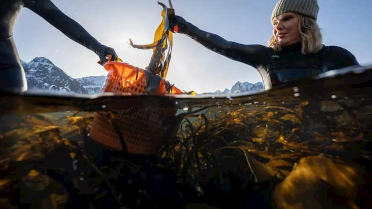 Norway women bring seaweed to culinary heights in Europe