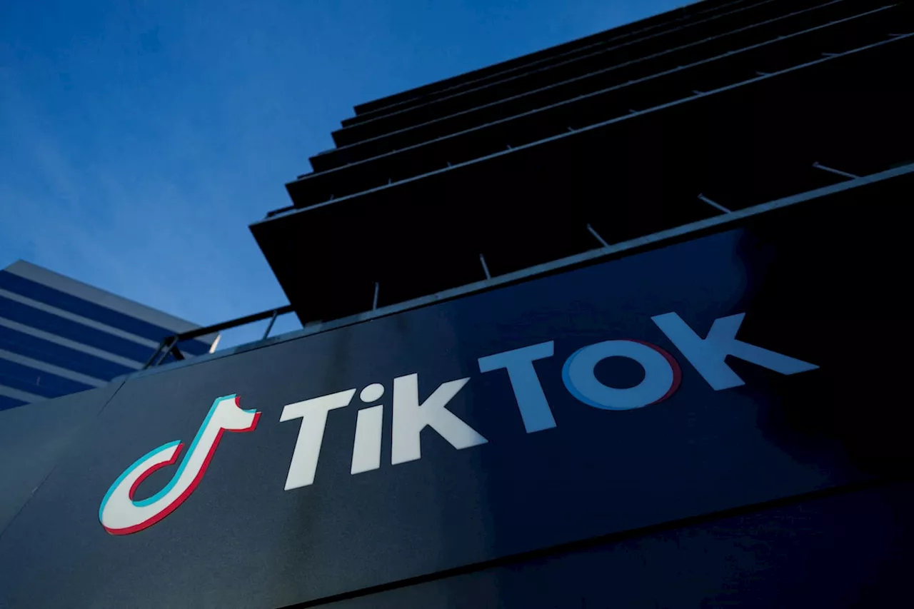 TikTok has submitted risk assessment report on TikTok Lite to EU